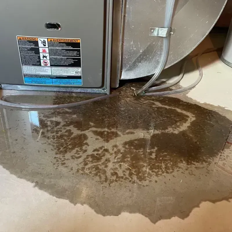 Appliance Leak Cleanup in Moberly, MO